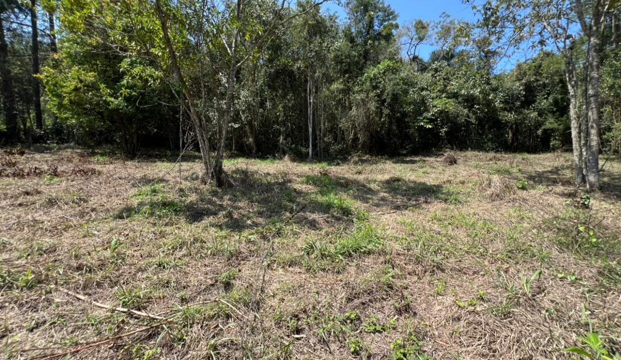 Terreno_Itaoca_Guararema (16)