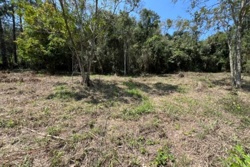 Terreno_Itaoca_Guararema (16)