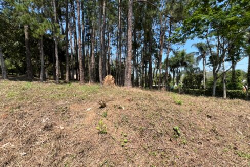 Terreno_Itaoca_Guararema (6)