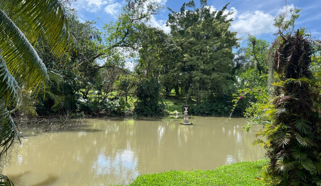 Chácara_Itapema_Guararema (1)