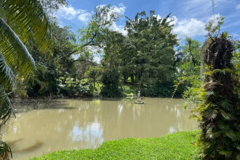 Chácara_Itapema_Guararema (1)