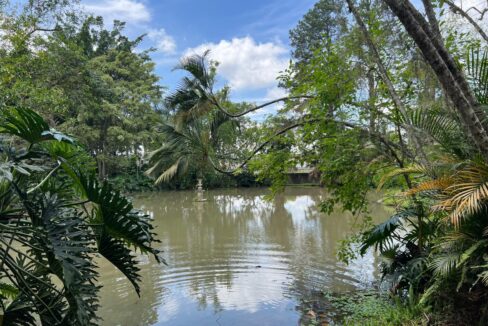 Chácara_Itapema_Guararema (2)