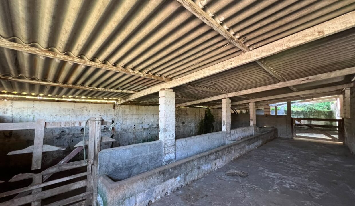 Sítio_Guararema (18)